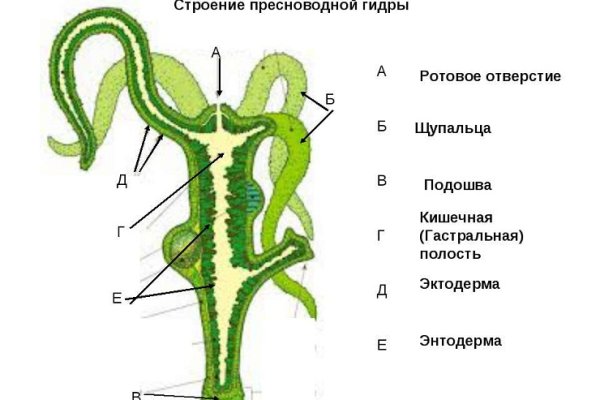 Кракен ссылка на рабочее зеркало