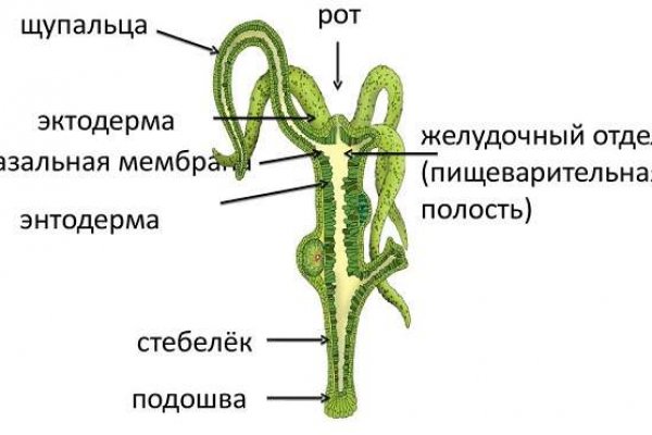 Kraken зеркало тор ссылка